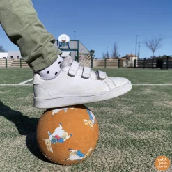 Petit ballon pierre lapin