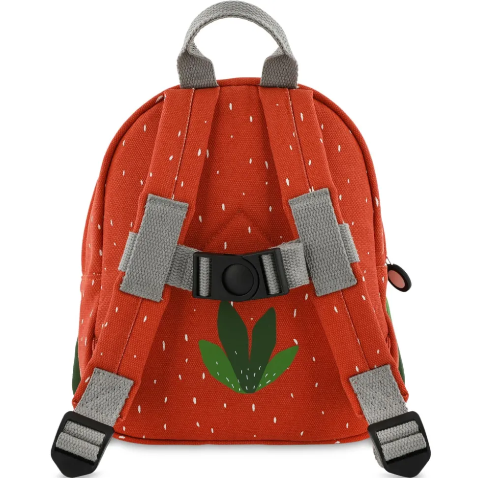Petit sac à dos mr. parrot