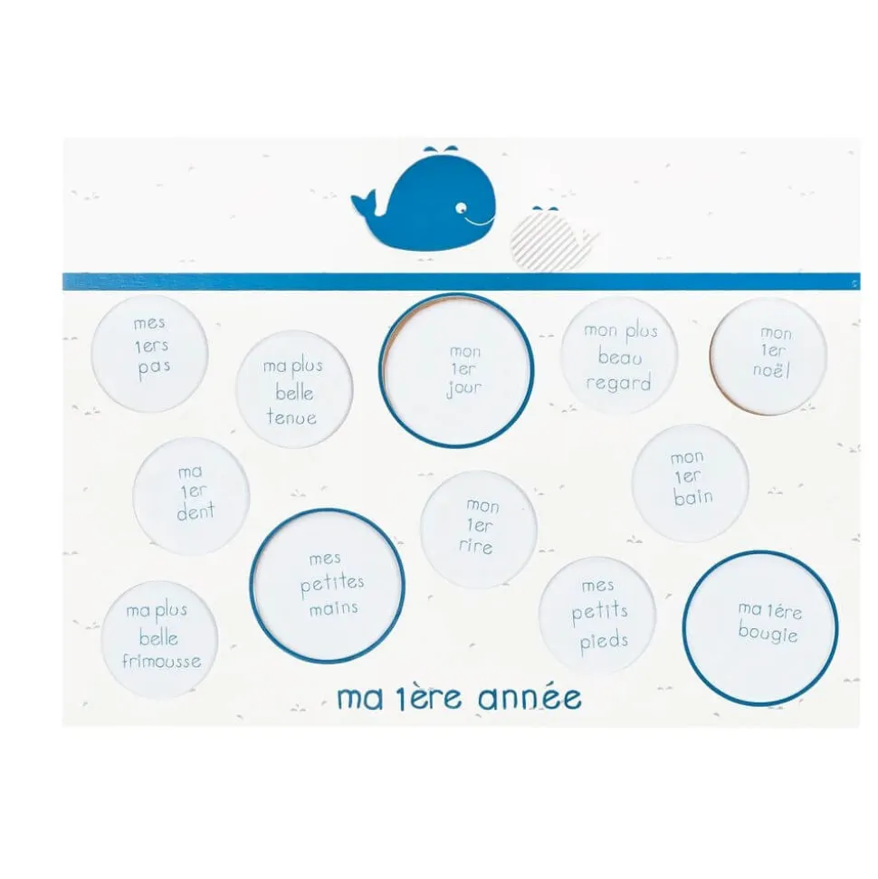 Pêle-mêle photo ma première année blue baleine