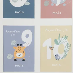Pêle-mêle 13 photos ma 1ère année