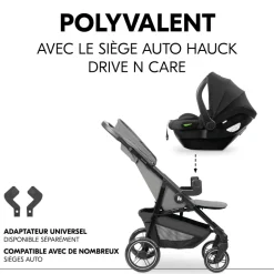 Poussette 4 roues shop n care grey