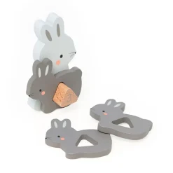 Puzzles 3d en bois animaux à compter et associer