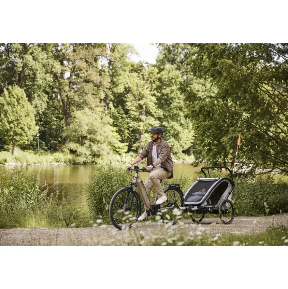 Remorque de vélo dryk duo light grey