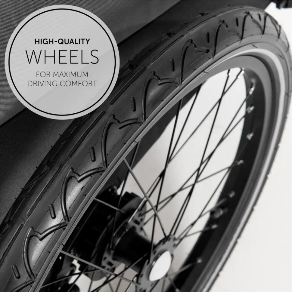 Remorque pour vélo dryk duo grey
