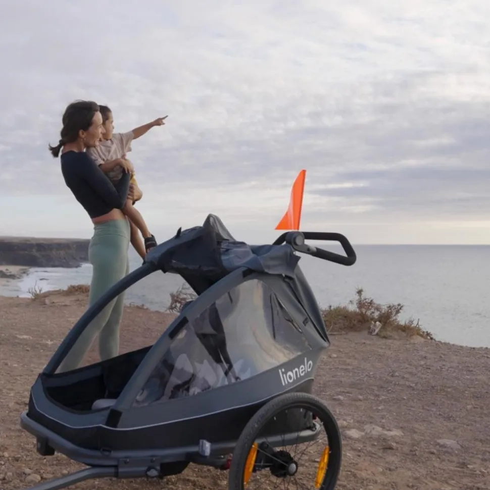Remorque à vélo cama grey graphite