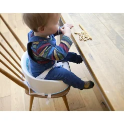 Réhausseur de chaise booster squish bleu roi