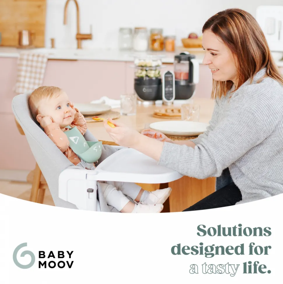 Robot de cuisine nutribaby+ industrial grey