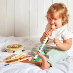Set de 4 instruments de musique gioia