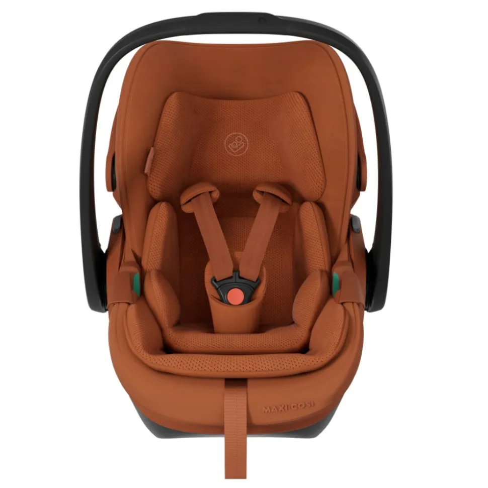 Siege auto pebble slide pro - terra