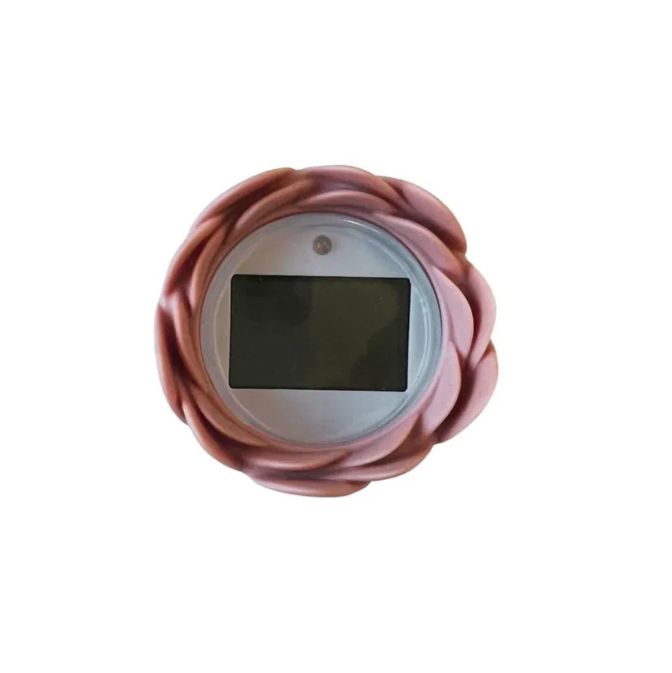 Thermomètre de bain numérique litchi