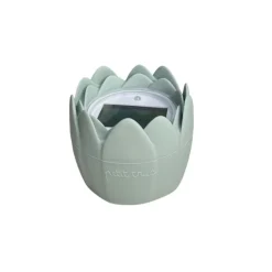 Thermomètre de bain numérique nénuphar - avocat