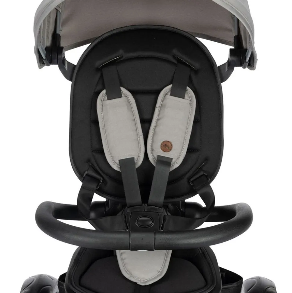 Tricycle windy tinted gray