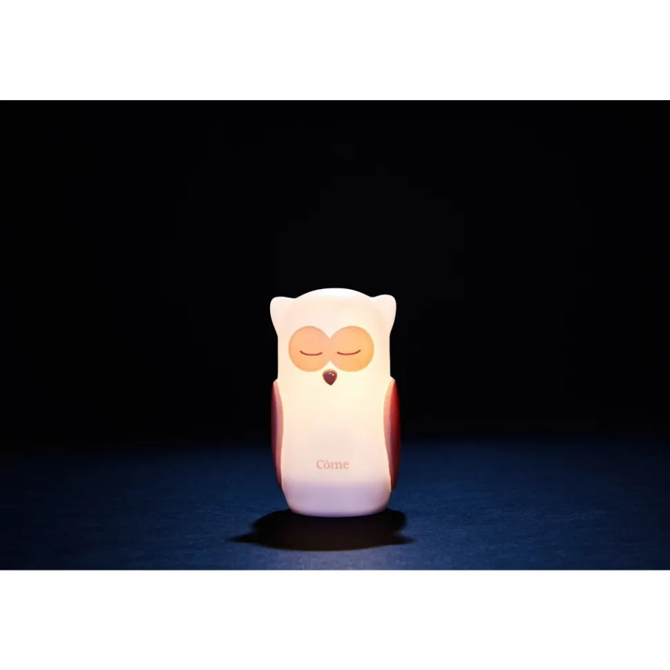 Veilleuse chouette à induction