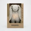 Veilleuse lapin nature bio avec sons & lumières gris