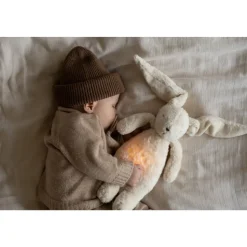 Veilleuse lapin nature bio avec sons & lumières blanc polaire